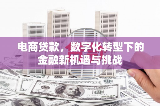 丰城电商贷款，数字化转型下的金融新机遇与挑战