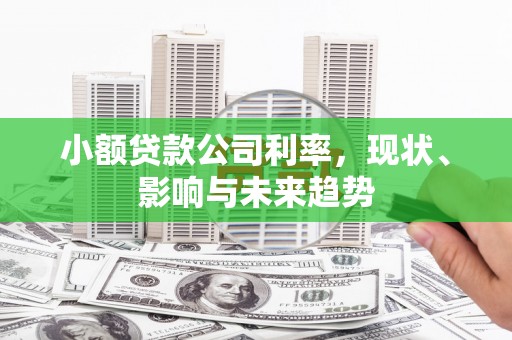 丰城小额贷款公司利率，现状、影响与未来趋势