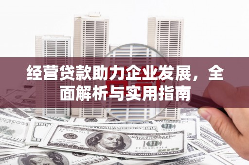 丰城经营贷款助力企业发展，全面解析与实用指南