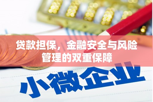 丰城贷款担保，金融安全与风险管理的双重保障