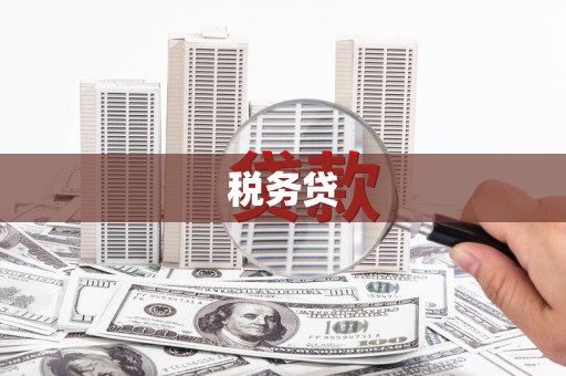 丰城税务贷