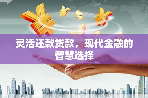丰城灵活还款贷款，现代金融的智慧选择