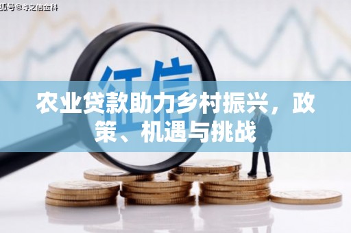 丰城农业贷款助力乡村振兴，政策、机遇与挑战