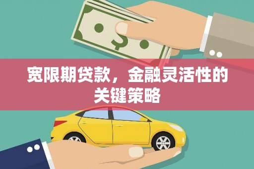 丰城宽限期贷款，金融灵活性的关键策略