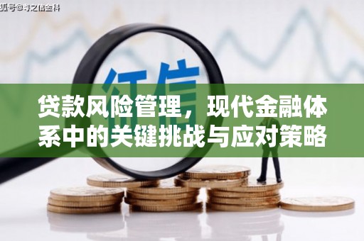 丰城贷款风险管理，现代金融体系中的关键挑战与应对策略