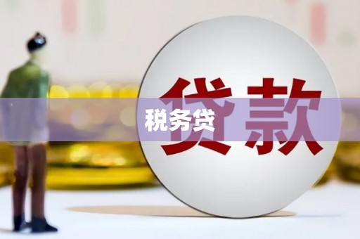 丰城税务贷