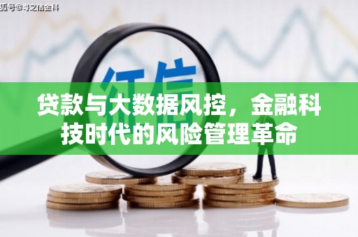 丰城贷款与大数据风控，金融科技时代的风险管理革命