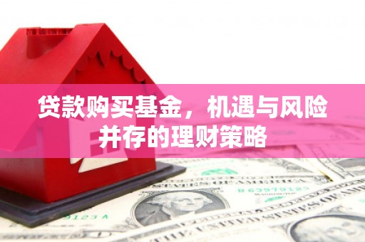 丰城贷款购买基金，机遇与风险并存的理财策略