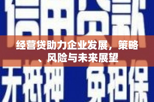 丰城经营贷助力企业发展，策略、风险与未来展望
