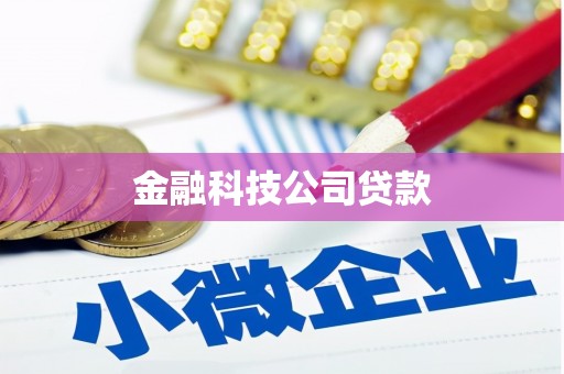 丰城金融科技公司贷款