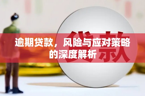 丰城逾期贷款，风险与应对策略的深度解析