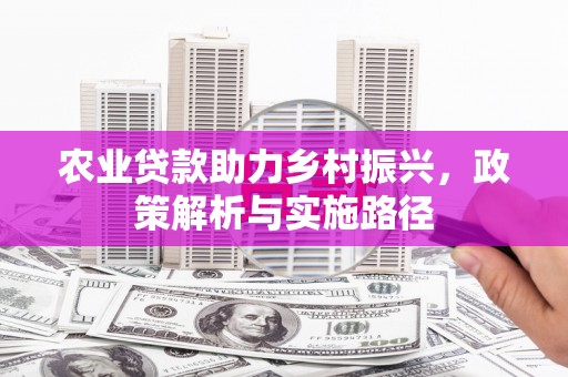 丰城农业贷款助力乡村振兴，政策解析与实施路径
