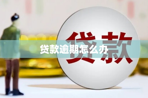 丰城贷款逾期怎么办