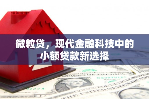 丰城微粒贷，现代金融科技中的小额贷款新选择