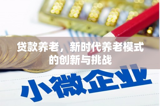 丰城贷款养老，新时代养老模式的创新与挑战