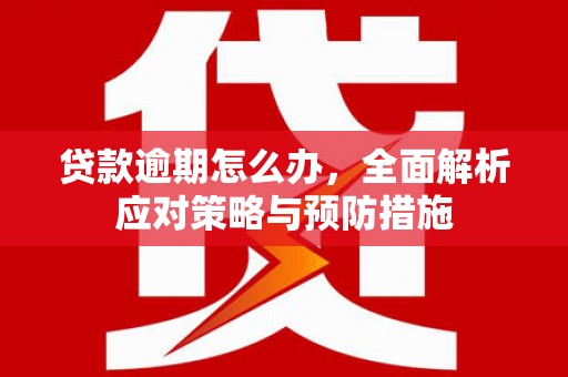 丰城贷款逾期怎么办，全面解析应对策略与预防措施