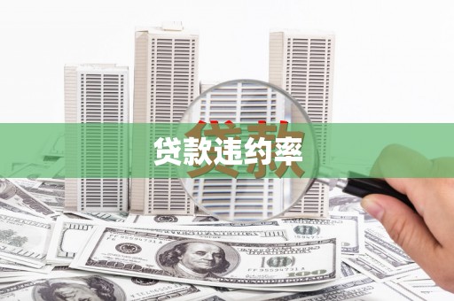 丰城贷款违约率