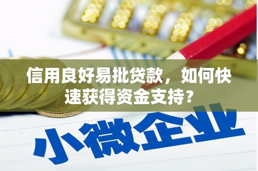 丰城信用良好易批贷款，如何快速获得资金支持？
