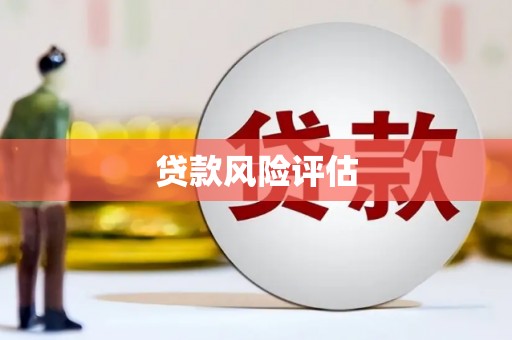 丰城贷款风险评估