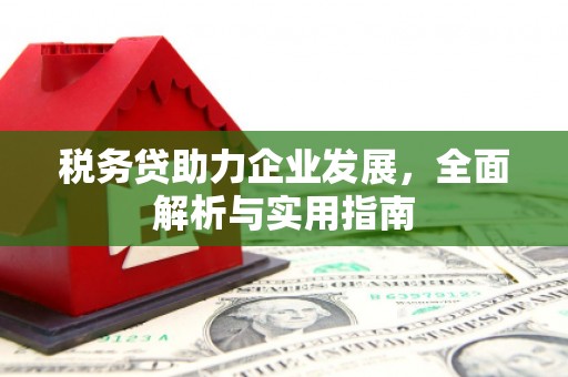 丰城税务贷助力企业发展，全面解析与实用指南