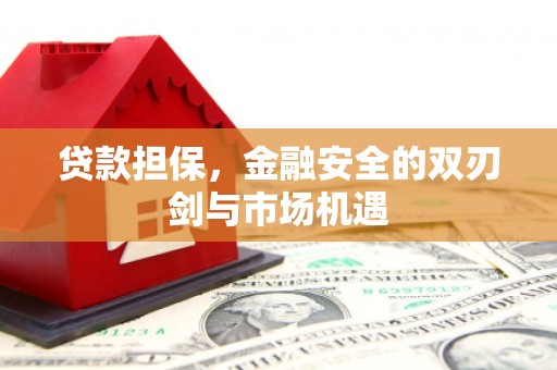 丰城贷款担保，金融安全的双刃剑与市场机遇