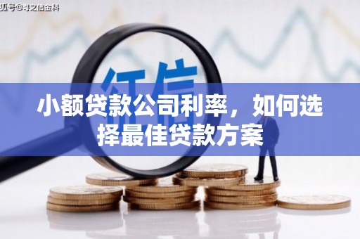丰城小额贷款公司利率，如何选择最佳贷款方案