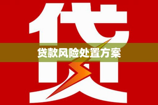 丰城贷款风险处置方案