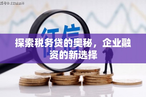 丰城探索税务贷的奥秘，企业融资的新选择