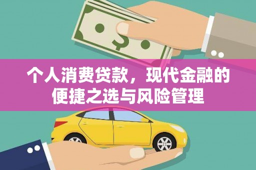 丰城个人消费贷款，现代金融的便捷之选与风险管理