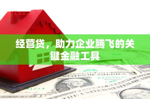 丰城经营贷，助力企业腾飞的关键金融工具