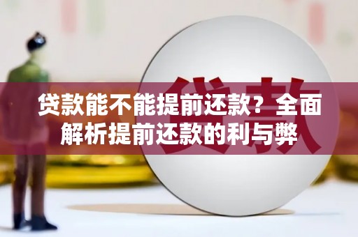 丰城贷款能不能提前还款？全面解析提前还款的利与弊