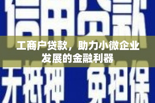 丰城工商户贷款，助力小微企业发展的金融利器