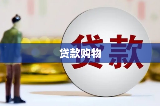 丰城贷款购物