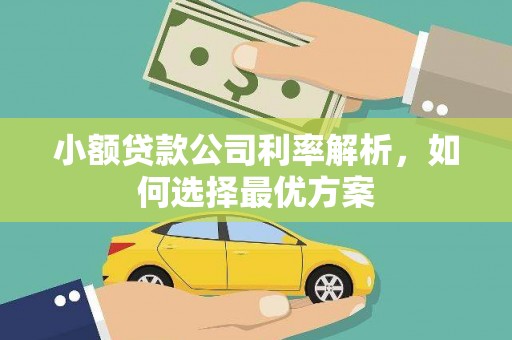 丰城小额贷款公司利率解析，如何选择最优方案