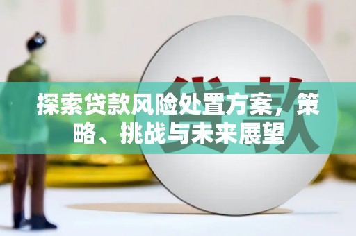 丰城探索贷款风险处置方案，策略、挑战与未来展望