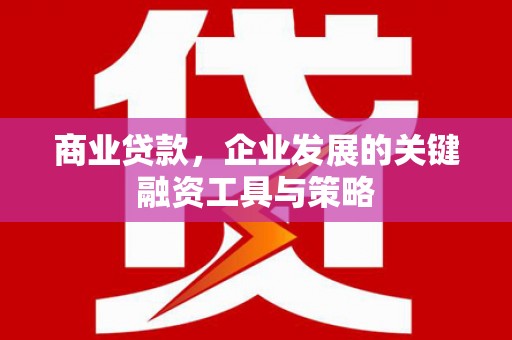丰城商业贷款，企业发展的关键融资工具与策略