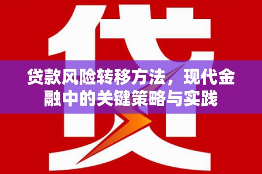 丰城贷款风险转移方法，现代金融中的关键策略与实践