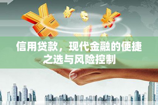 丰城信用贷款，现代金融的便捷之选与风险控制