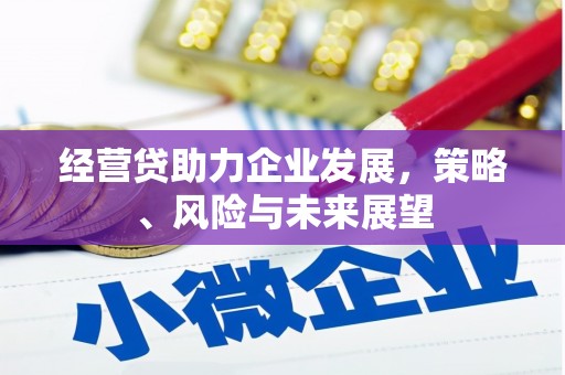 丰城经营贷助力企业发展，策略、风险与未来展望