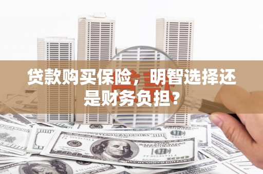 丰城贷款购买保险，明智选择还是财务负担？