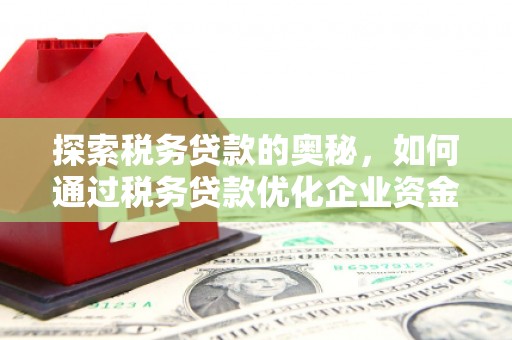 丰城探索税务贷款的奥秘，如何通过税务贷款优化企业资金流