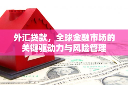 丰城外汇贷款，全球金融市场的关键驱动力与风险管理