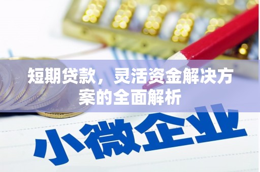 丰城短期贷款，灵活资金解决方案的全面解析