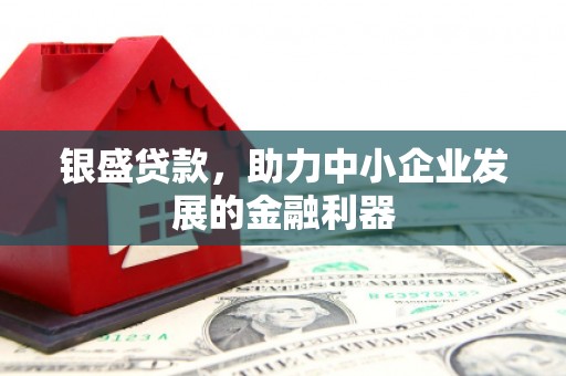 丰城银盛贷款，助力中小企业发展的金融利器
