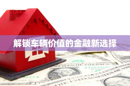 丰城解锁车辆价值的金融新选择