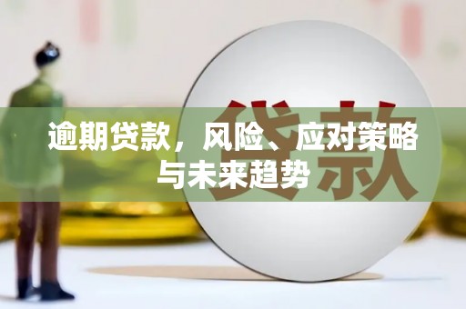 丰城逾期贷款，风险、应对策略与未来趋势