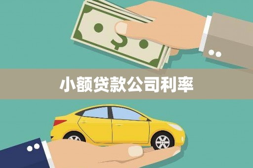丰城小额贷款公司利率