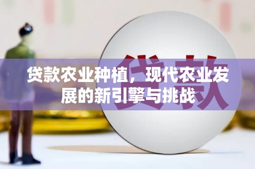 丰城贷款农业种植，现代农业发展的新引擎与挑战