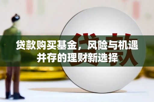 丰城贷款购买基金，风险与机遇并存的理财新选择