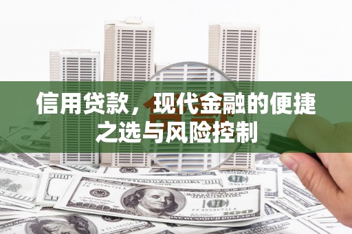 丰城信用贷款，现代金融的便捷之选与风险控制